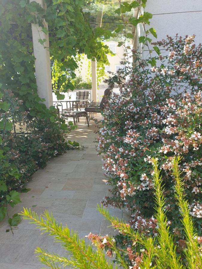 Abelia, Two Terraces, Hot Tub, Free Parking Dubrovnik Exterior foto
