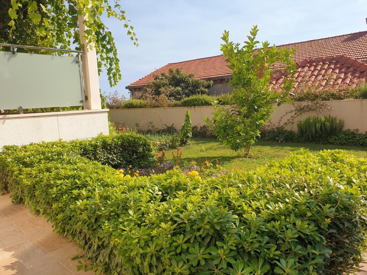 Abelia, Two Terraces, Hot Tub, Free Parking Dubrovnik Exterior foto